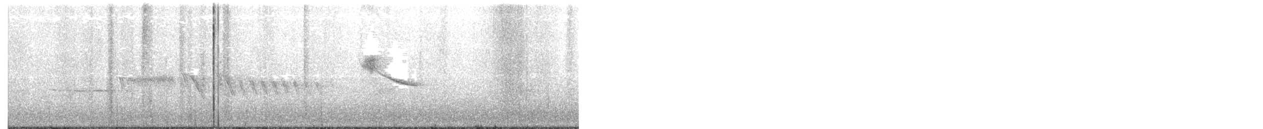 Lesser Goldfinch - ML245956951