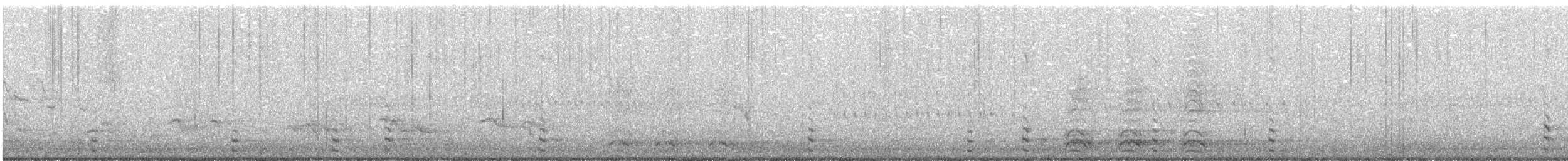 Common Gallinule - ML245988101