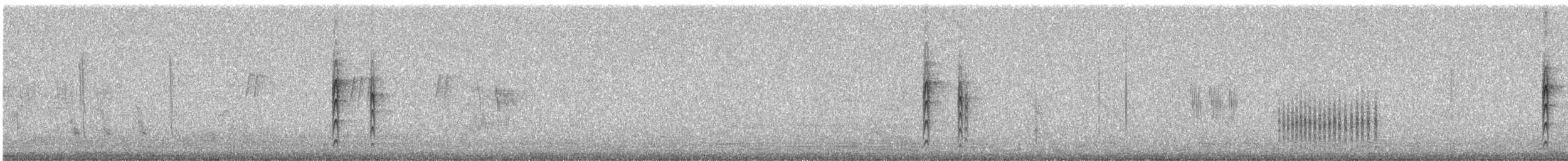 Weißkronentyrann - ML245994