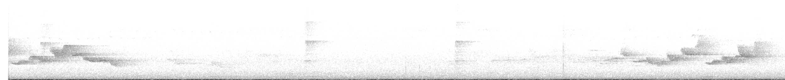 Warbling Vireo (Eastern) - ML245995241
