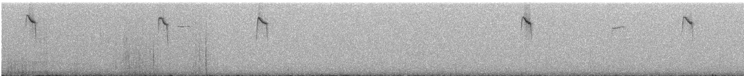 Saman Gerdanlı Dağ Tangarası (taeniata) - ML246001