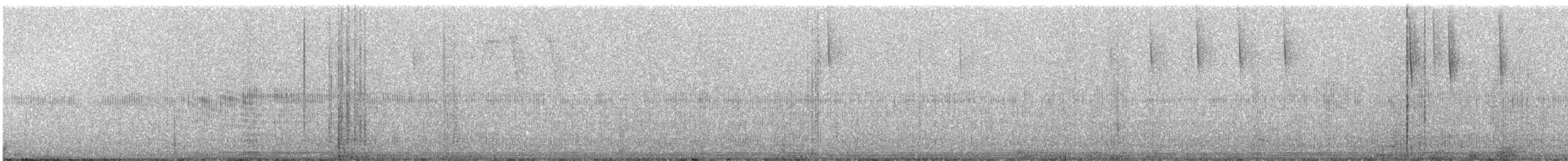 Colibri de Mulsant - ML246005