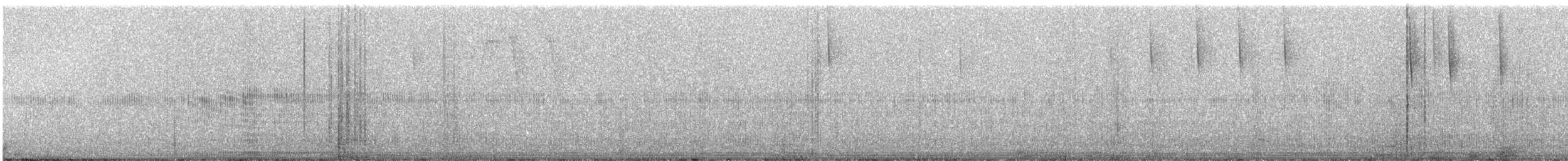White-bellied Woodstar - ML246005