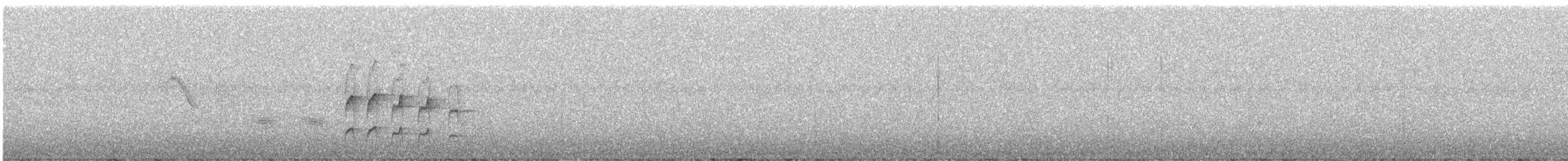 Тиранчик-довгохвіст жовточеревий - ML246010