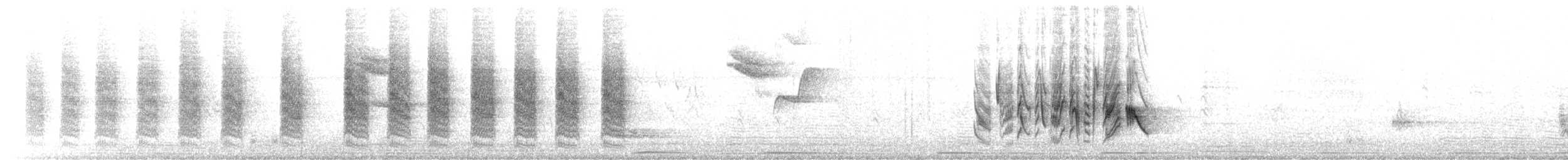 Віреон короткокрилий (підвид pusillus) - ML246012701