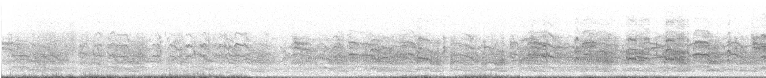 Common Tern - ML246016241