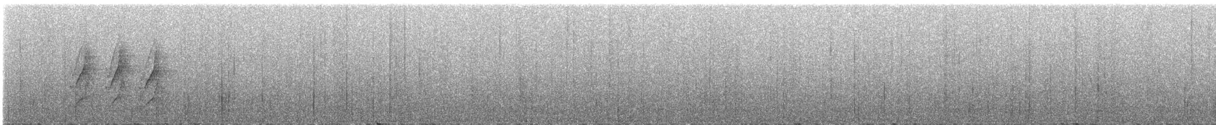 Тиранчик-довгохвіст жовточеревий - ML246019