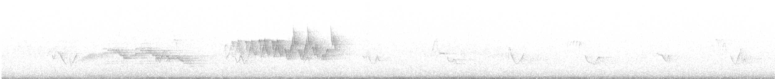 Chestnut-sided Warbler - ML246031431