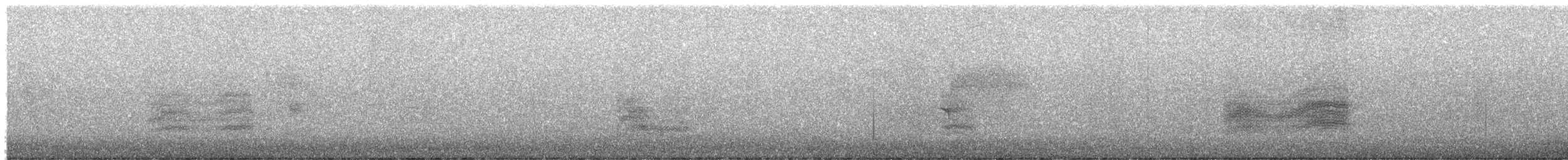 Тауї плямистий - ML246046051