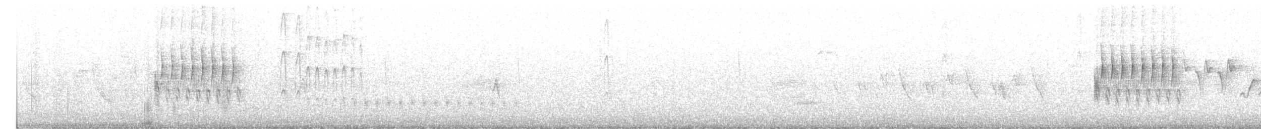 Тауї плямистий - ML246046061