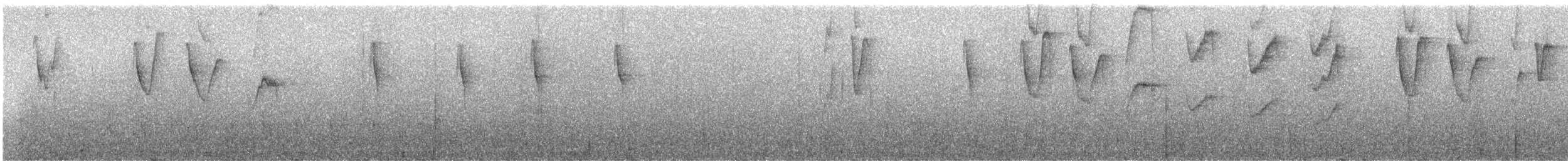 Ерміт-серподзьоб темнохвостий - ML246047