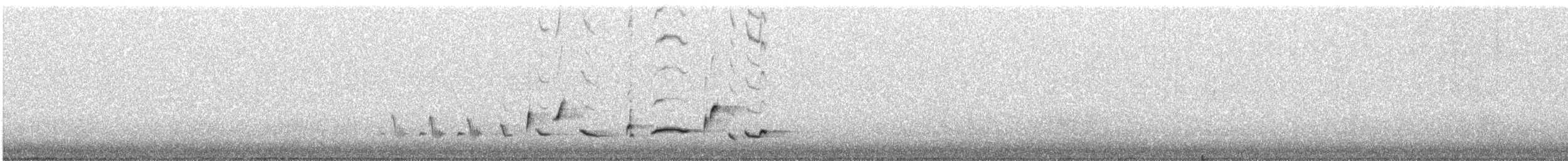Scott's Oriole - ML246064881