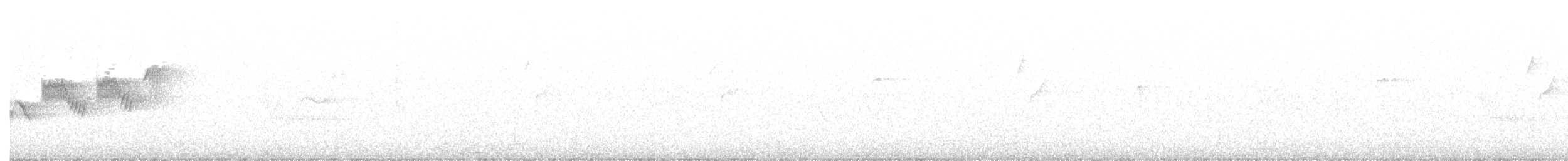 Траурная x Желтобровая древесница (гибрид) - ML246070511
