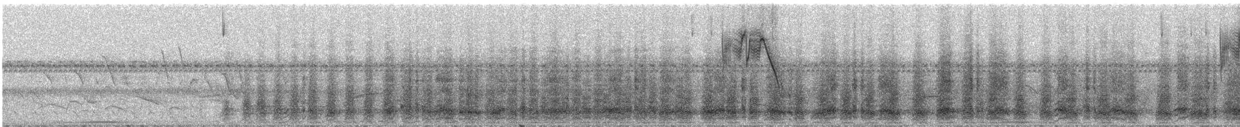 Speckled Chachalaca (Speckled) - ML246078