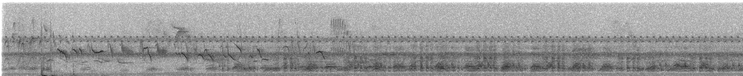 Black-billed Seed-Finch - ML246079