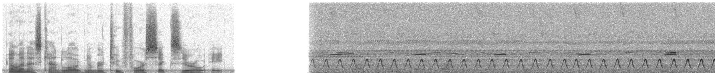 Slender-tailed Nightjar - ML24608