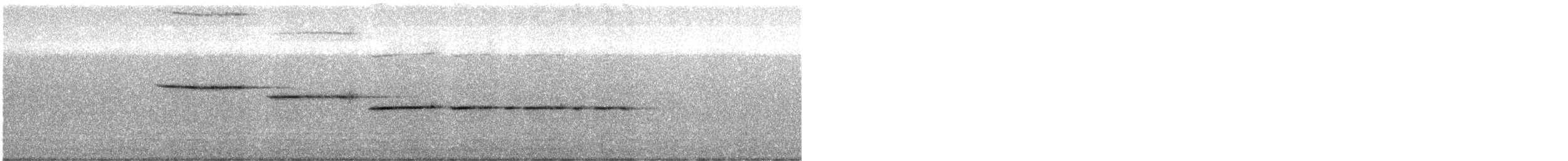 Белогорлая зонотрихия - ML246083121