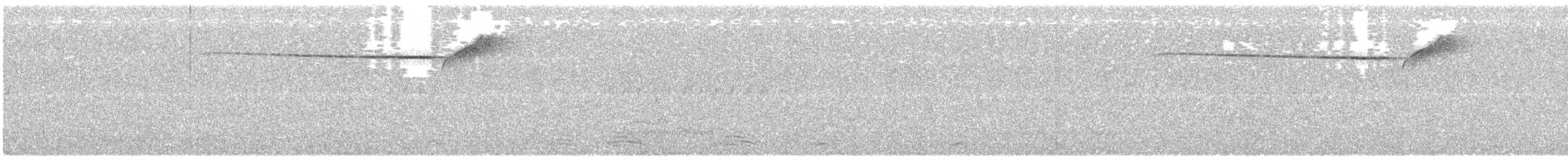 Spotted Quail-thrush - ML246087431