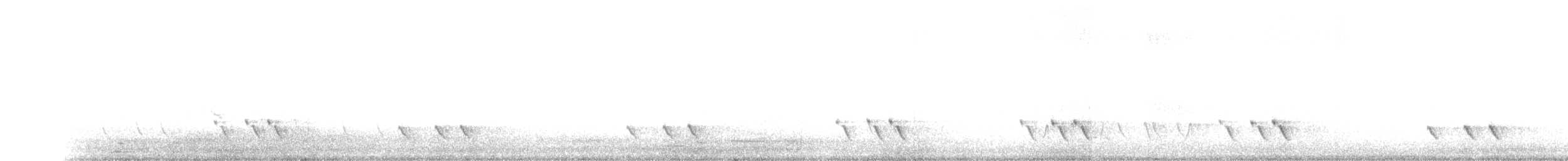 Çizgili Panterkuşu [melanocephalus grubu] - ML246106181
