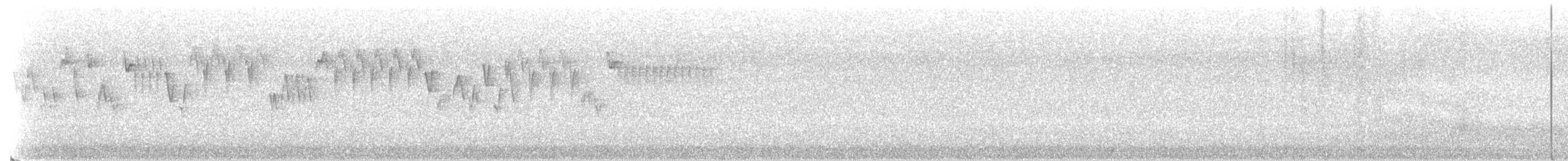 Pacific Wren - ML246109491