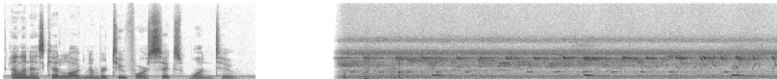 Joyful Greenbul - ML24612