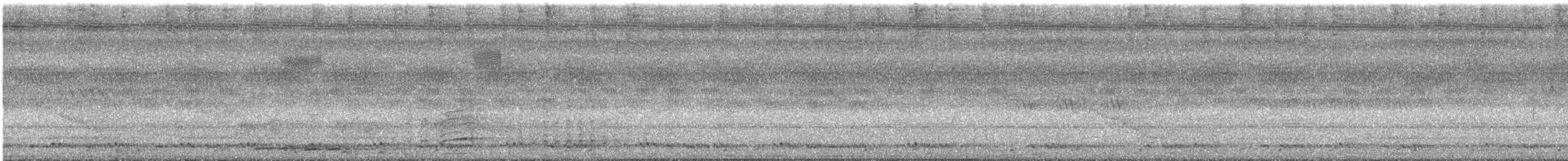 Malabar Gray Hornbill - ML246152331