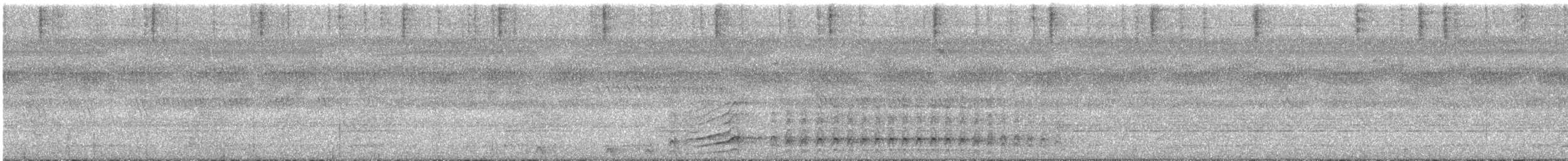 Malabar Gray Hornbill - ML246152921