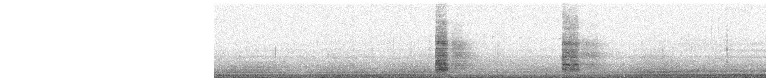 Ibis à cou noir - ML246153111