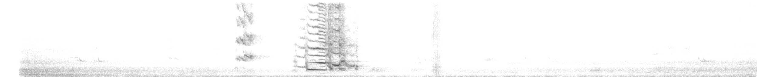 Avustralya Saksağanı (telonocua/tyrannica) - ML246163811