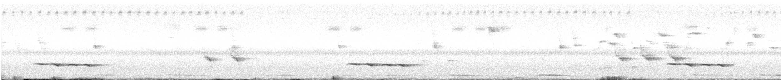 Кукавка смугаста - ML246165301