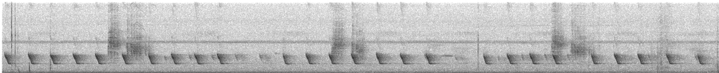 smalstripemeisetimal (gularis gr.) - ML246174641