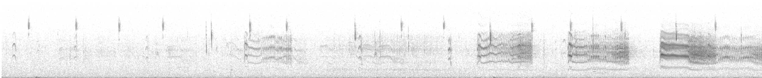 Common Tern - ML246175351