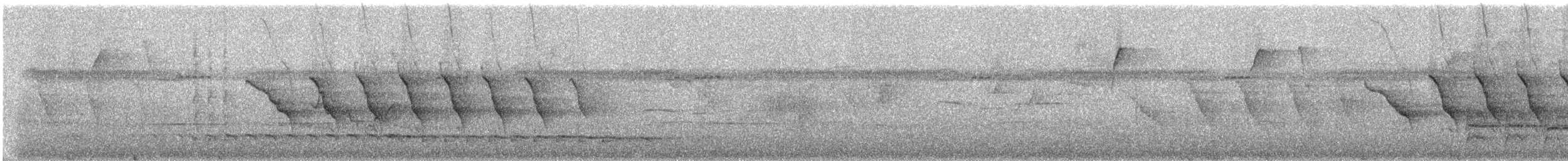 klatremaurvarsler (anabatinus gr.) - ML246179