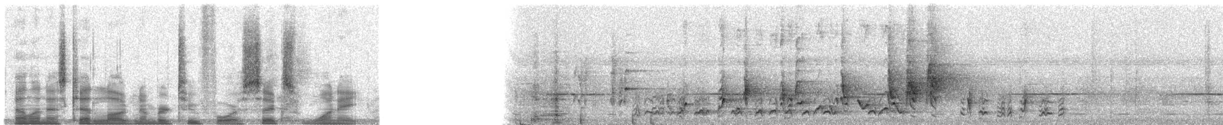 Joyful Greenbul - ML24618