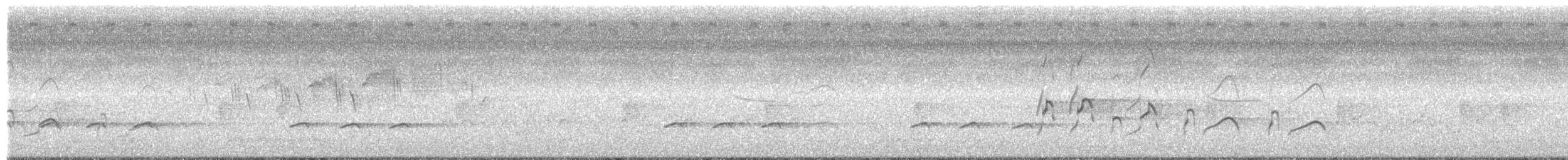 Swallow-tailed Kite - ML246184661