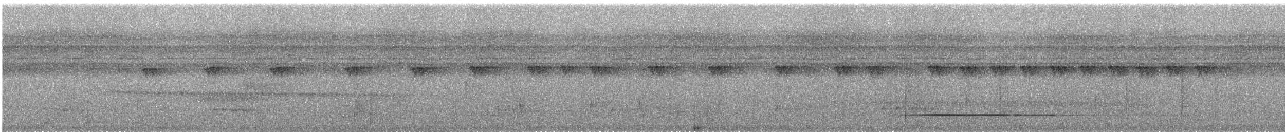 Красногрудый скрытохвост - ML246201