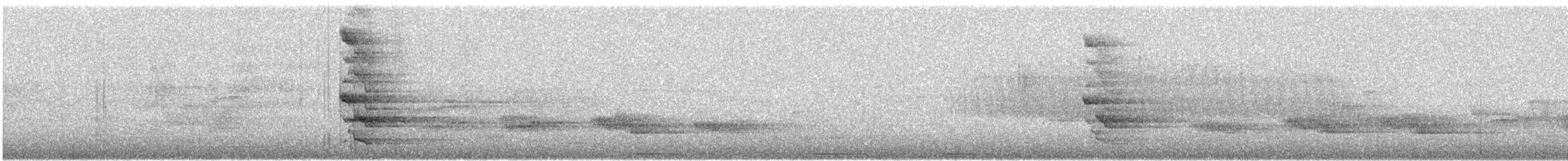 Шилоклювый дятел - ML246202201