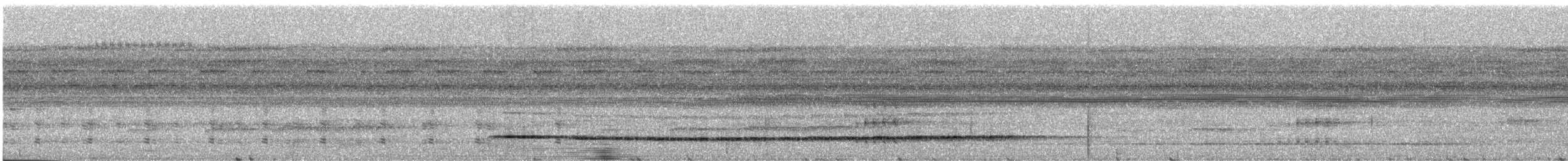 Variegated Tinamou - ML246204