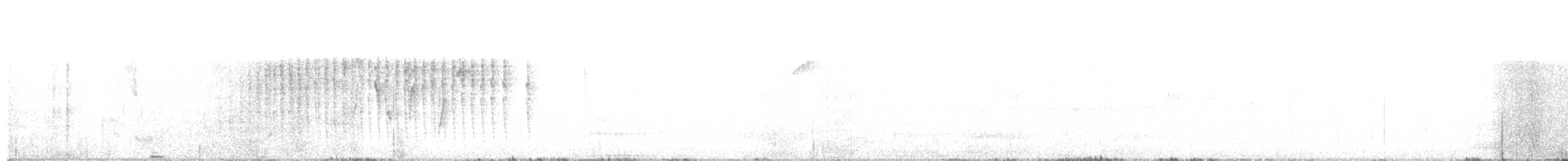 Синеспинный конусоклюв - ML246220051