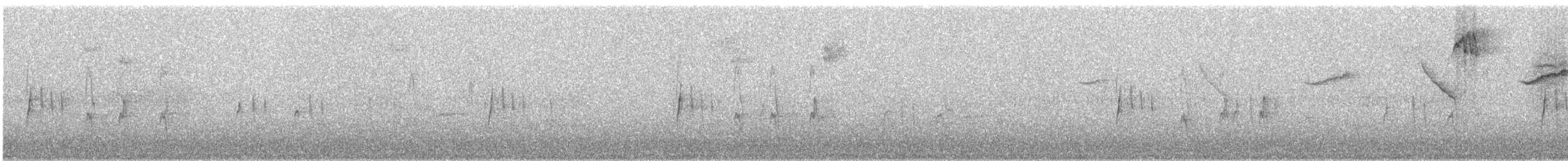 Tangara à calotte noire (atropileus) - ML246251