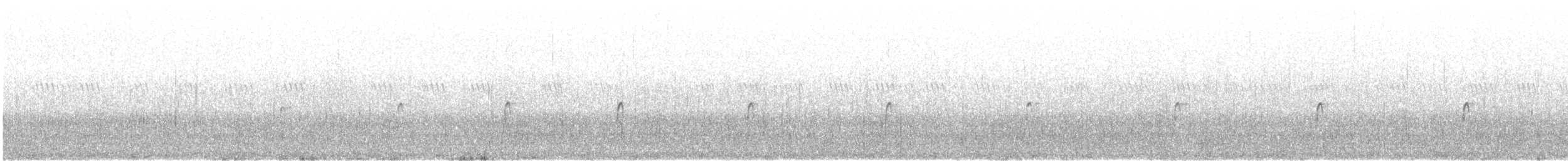Spotted Sandpiper - ML246261881