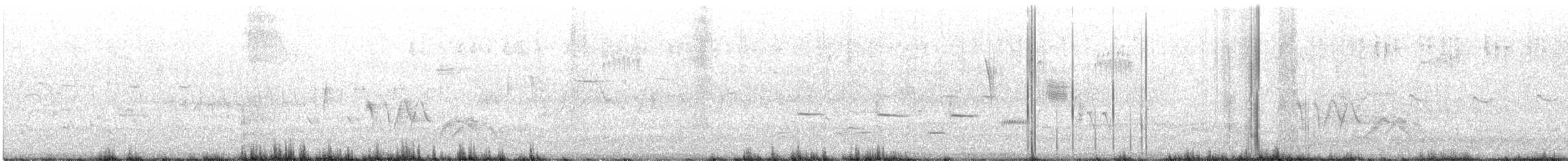 White-eyed Vireo - ML246281541
