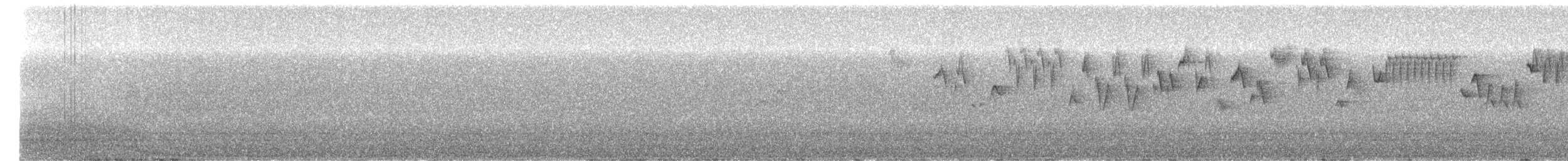 Troglodyte de Baird - ML246281751
