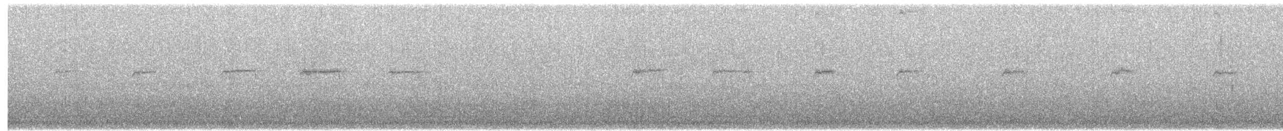 Mirlo Acuático Norteamericano - ML24628831