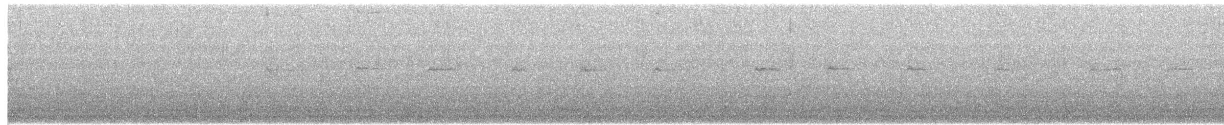Mirlo Acuático Norteamericano - ML24628841
