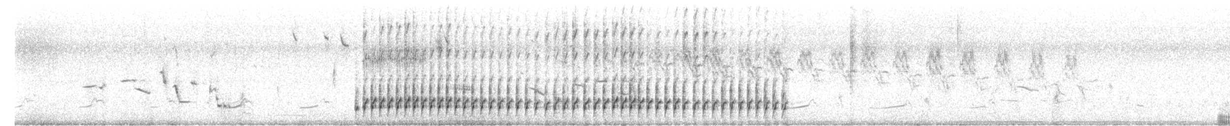 bartramie dlouhoocasá - ML246289091