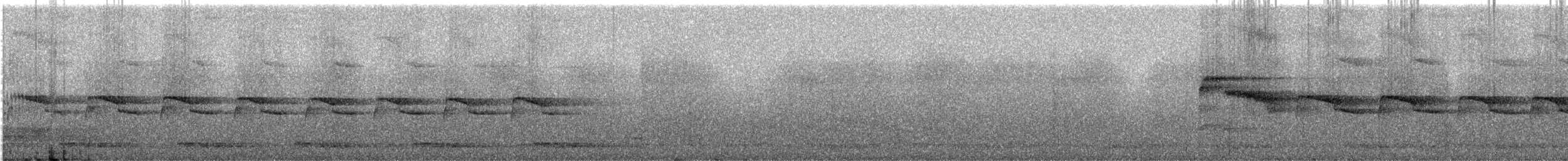 Long-tailed Broadbill - ML246298401