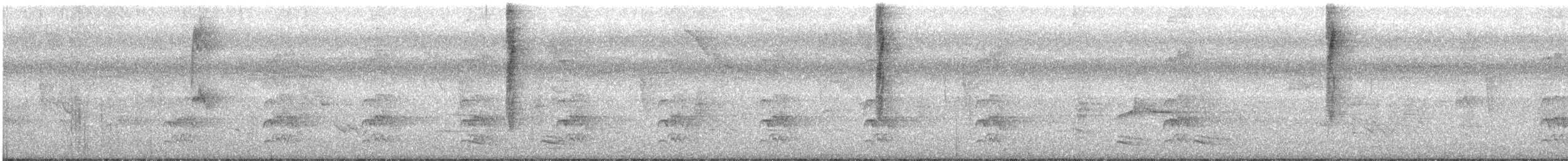 コシアカフウキンチョウ（passerinii） - ML246324951