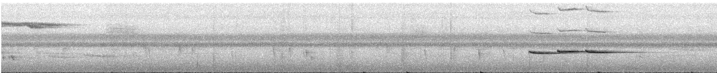 Spot-necked Babbler - ML246351211