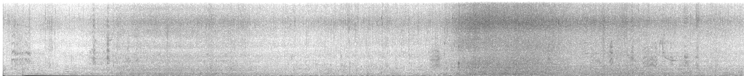Tepeli Büyük Sumru - ML246353801